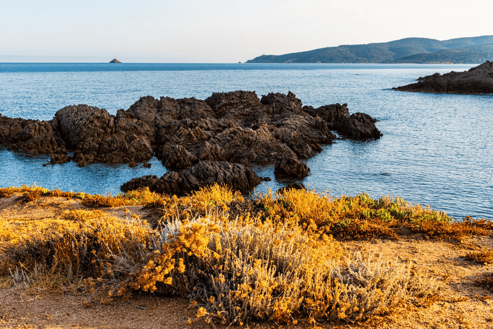 Le sentier du littoral à Olmeto