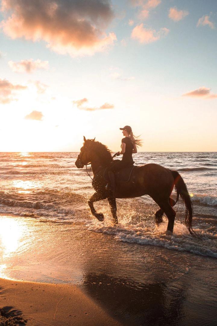 Balade à cheval sur la plage d'Olmeto
